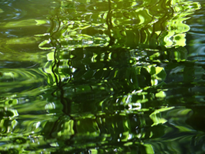 Photo by Ann Curran. © 2014 Photo by Ann Curran. © 2014